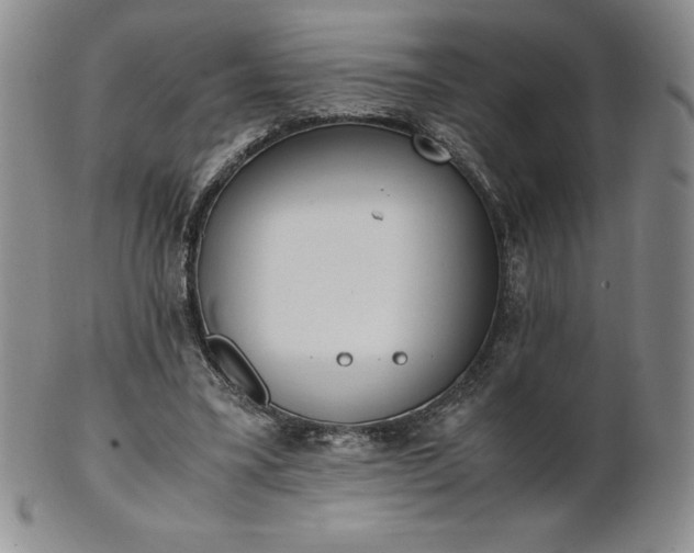 X0000101680395200807171417