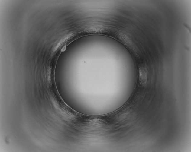 X0000101680396200807171417