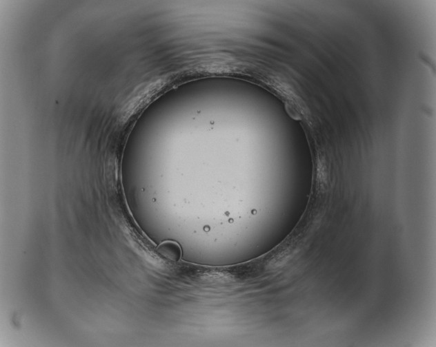 X0000101680397200807171417