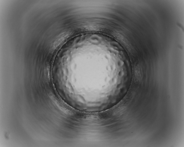 X0000101680398200807171417