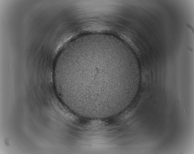 X0000101680399200807171417