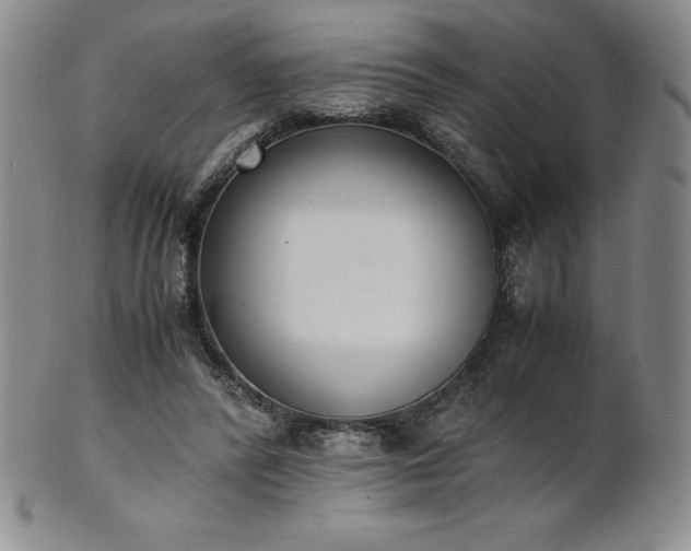 X0000101680400200807171417