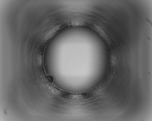 X0000101680401200807171417