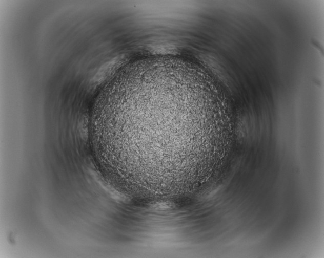 X0000101680402200807171417