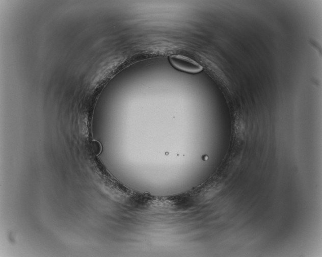 X0000101680403200807171417