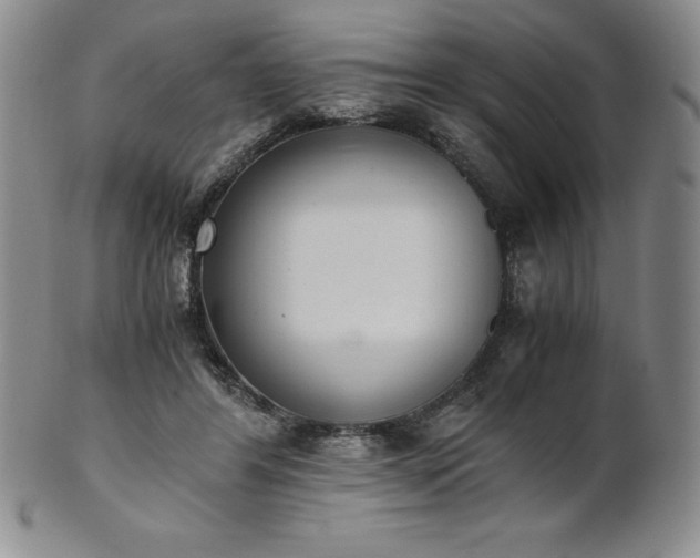 X0000101680404200807171417