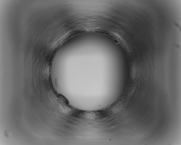 X0000101680405200807171417