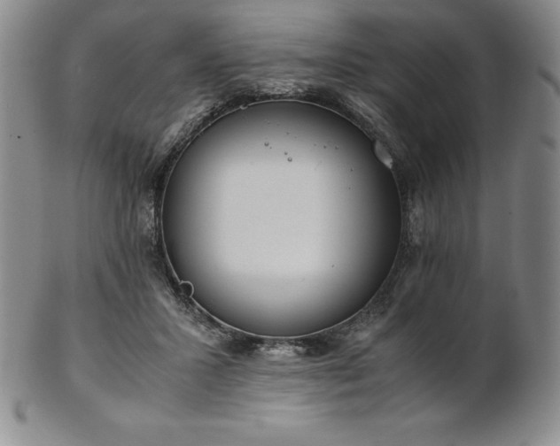 X0000101680407200807171417