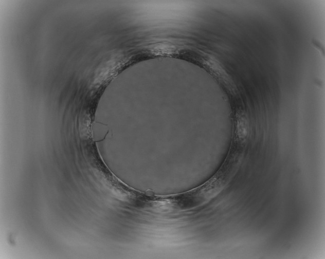 X0000101680411200807171417