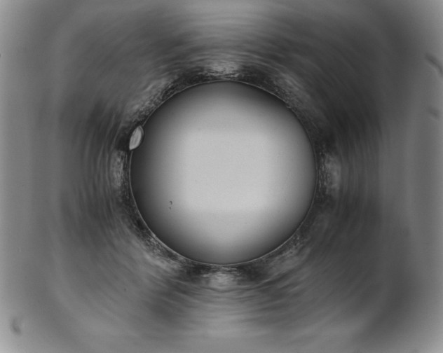 X0000101680412200807171417