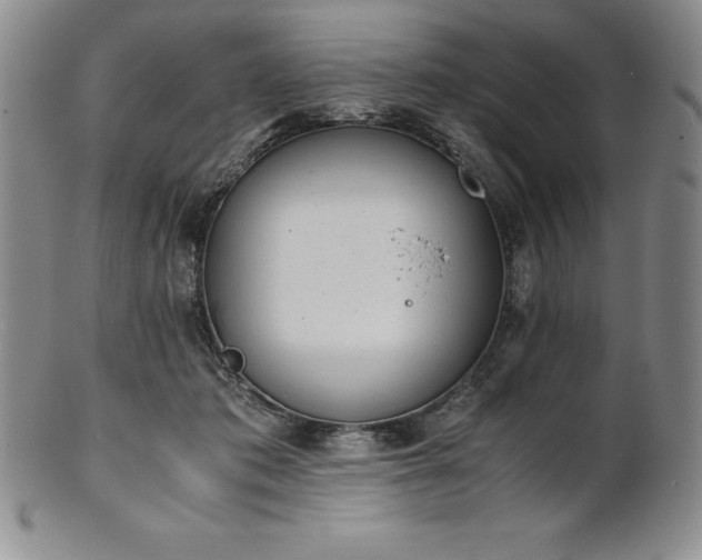 X0000101680413200807171417