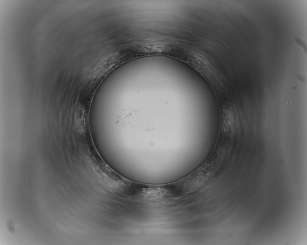 X0000101680414200807171417