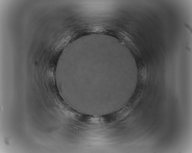 X0000101680415200807171417