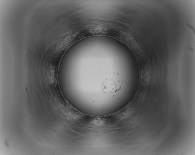 X0000101680416200807171417