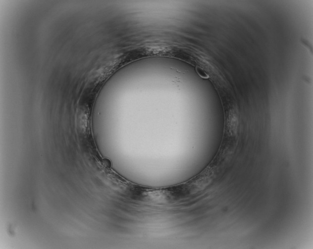 X0000101680417200807171416