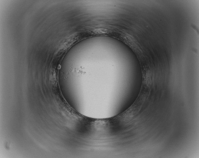 X0000101680418200807171416