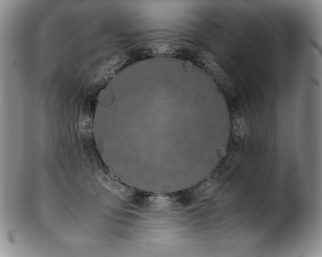 X0000101680419200807171416