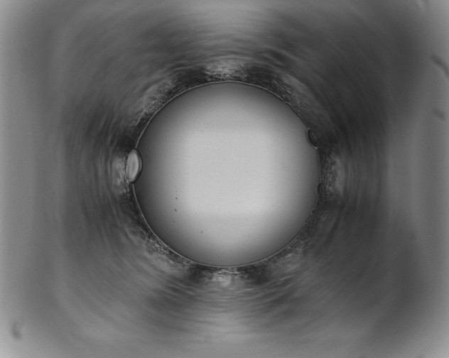 X0000101680420200807171416