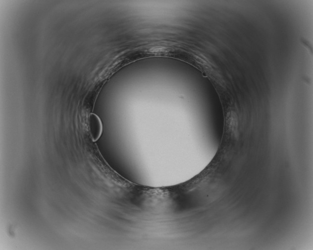 X0000101680421200807171416