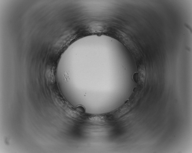 X0000101680422200807171416