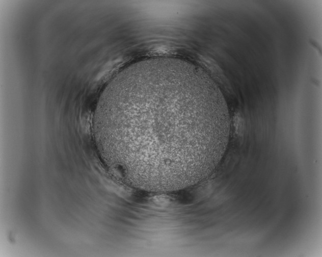 X0000101680423200807171416