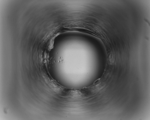 X0000101680424200807171416