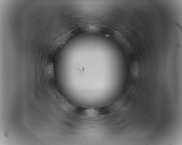 X0000101680425200807171416