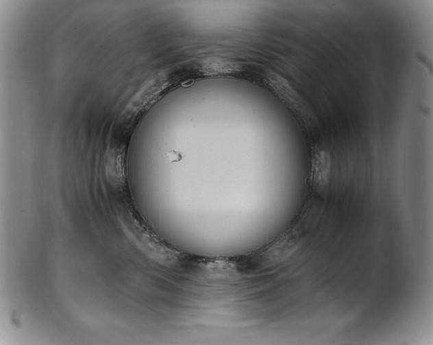 X0000101680426200807171416