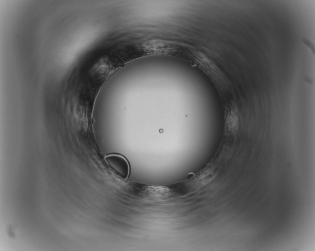 X0000101680429200807171416