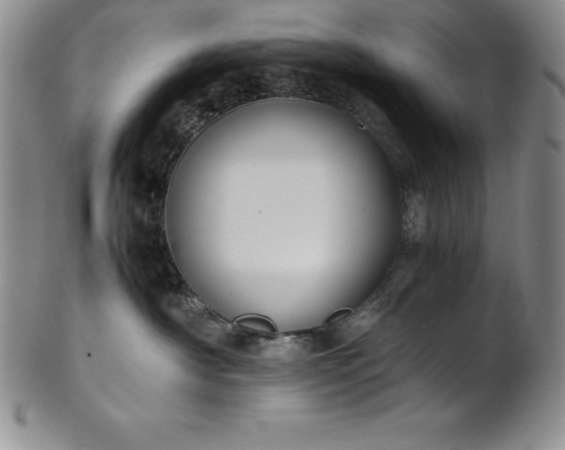 X0000101680430200807171416