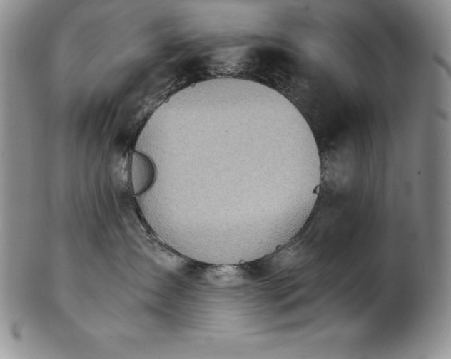 X0000101680431200807171416