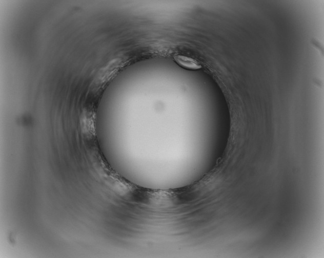 X0000101680432200807171416