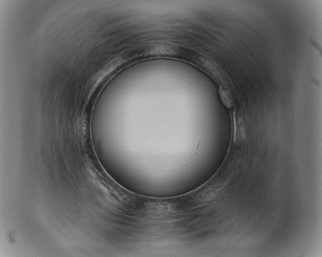 X0000101680435200807171415