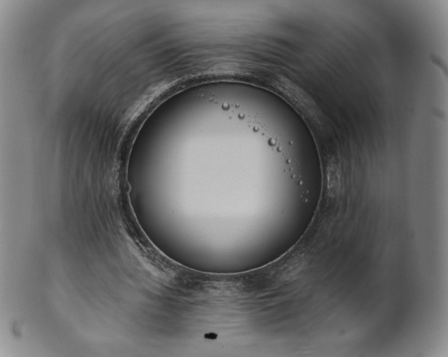 X0000101680436200807171415