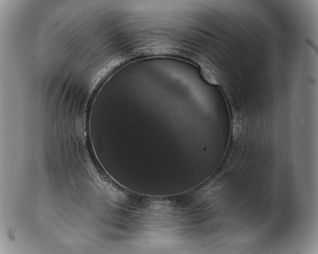 X0000101680438200807171415