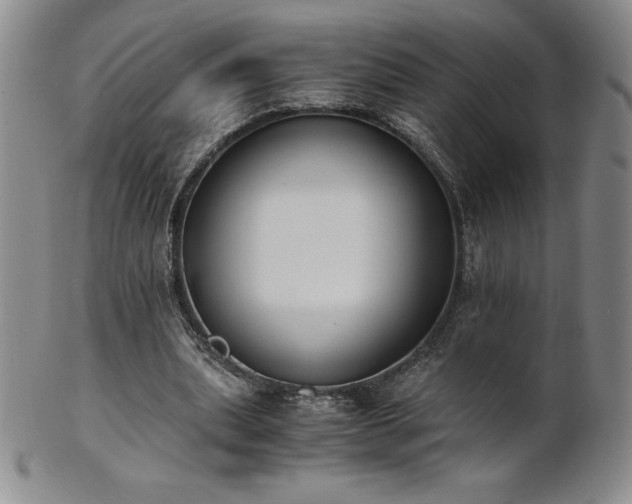 X0000101680439200807171415