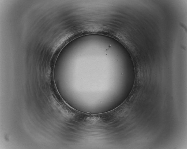 X0000101680440200807171415