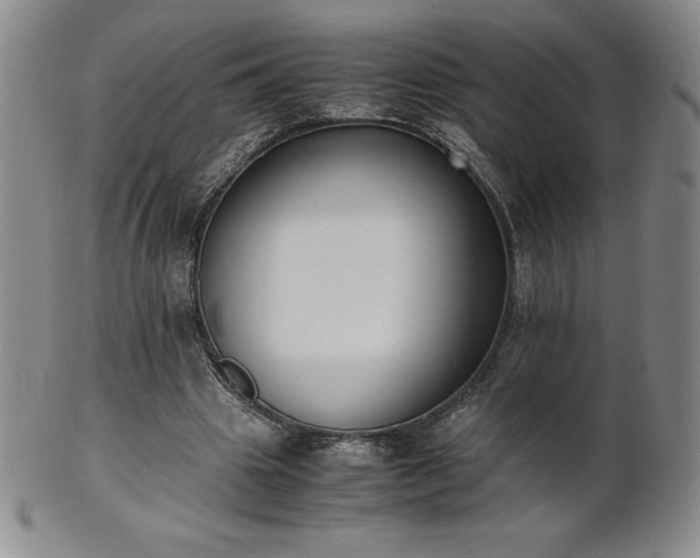 X0000101680441200807171415