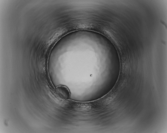 X0000101680443200807171416