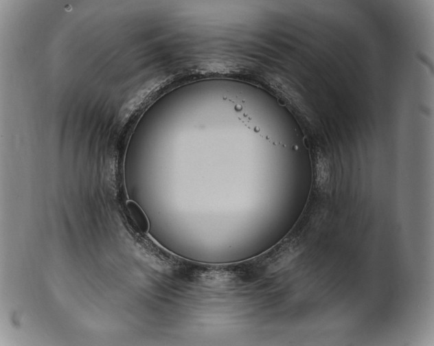 X0000101680444200807171416