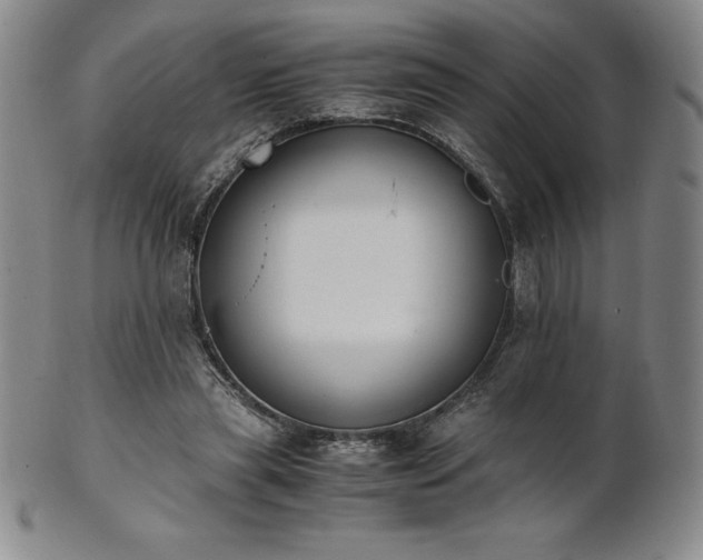 X0000101680445200807171416