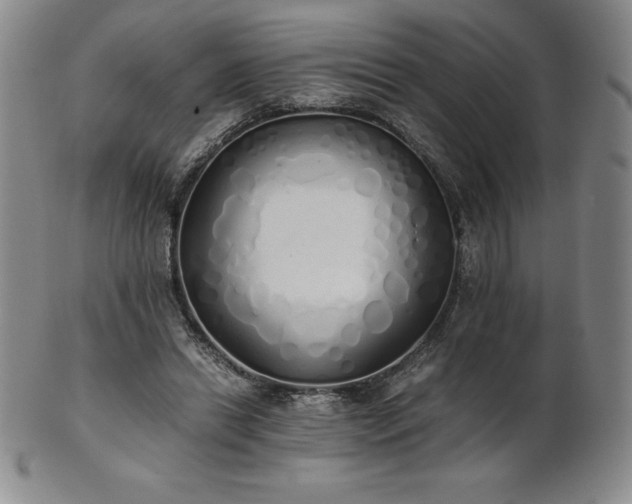 X0000101680446200807171416