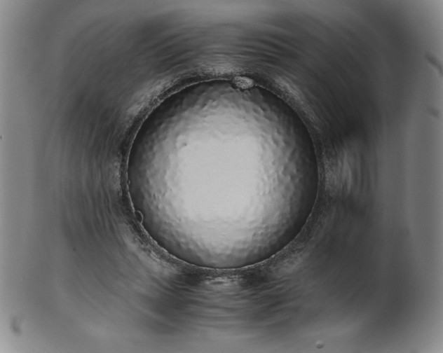 X0000101680447200807171416