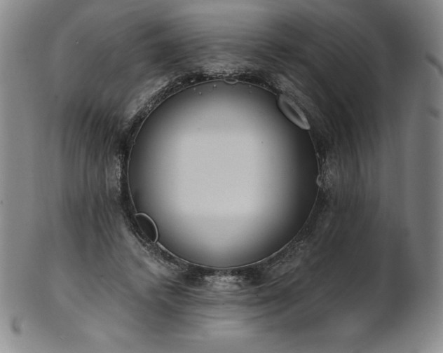 X0000101680448200807171416