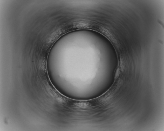 X0000101680449200807171416