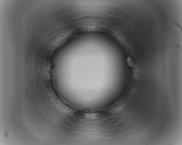 X0000101680450200807171416