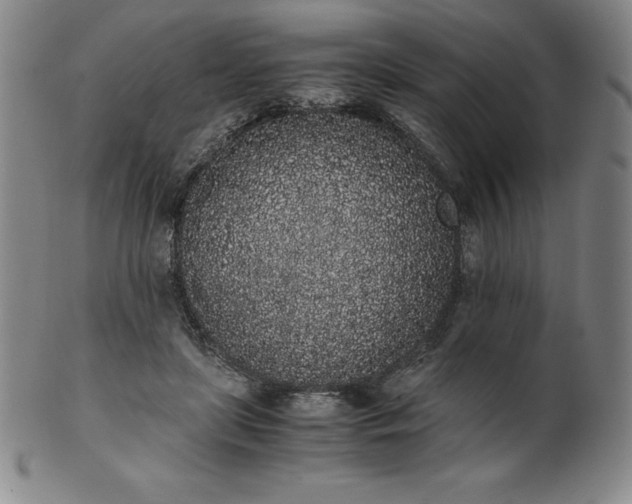 X0000101680451200807171416