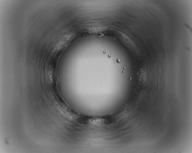 X0000101680452200807171416