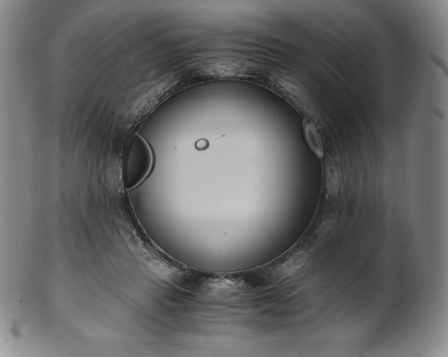 X0000101680453200807171416