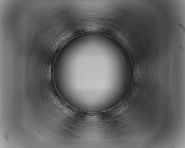 X0000101680454200807171416